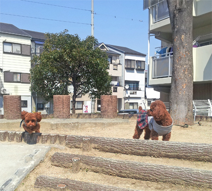 2012.4.12-3.jpg