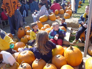 DSC00696.jpg