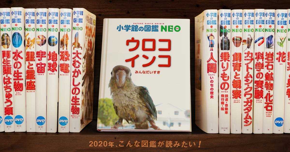 いろ鳥どりのボタニカルライフ