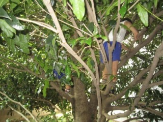 IMG_7435.jpg
