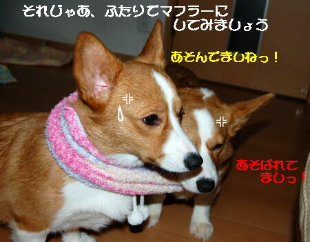 021104.jpg