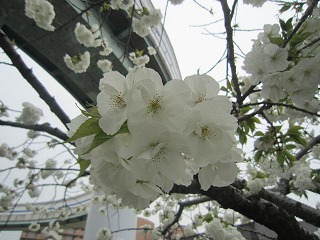 IMG_6187.jpg