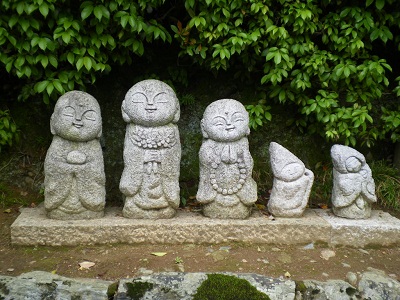 IMGP1794.jpg