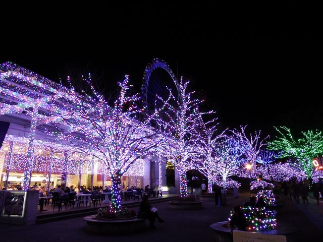DSCF3504.JPG