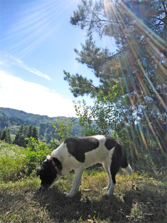 124.jpg