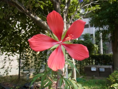 @.RIMG0374.jpg