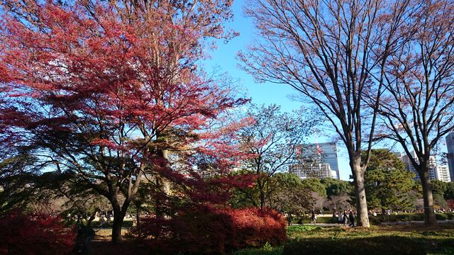 2014-12-06 13.54.13.jpg