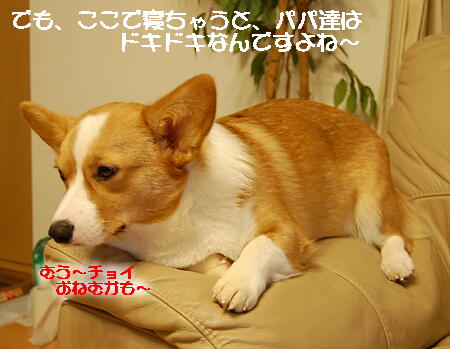 042003.jpg