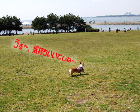 040204.jpg