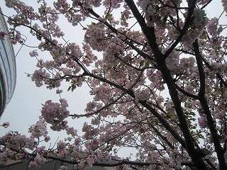 IMG_6183.jpg