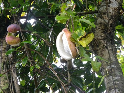 DSCN9536.jpg