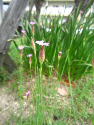 IMG_6702.jpg