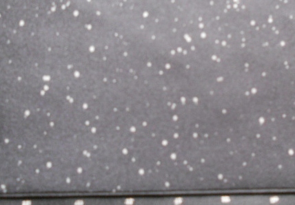 DSCN8811.JPG