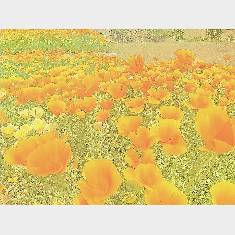 ズボラママの小さな幸せ～在宅ワークママ～