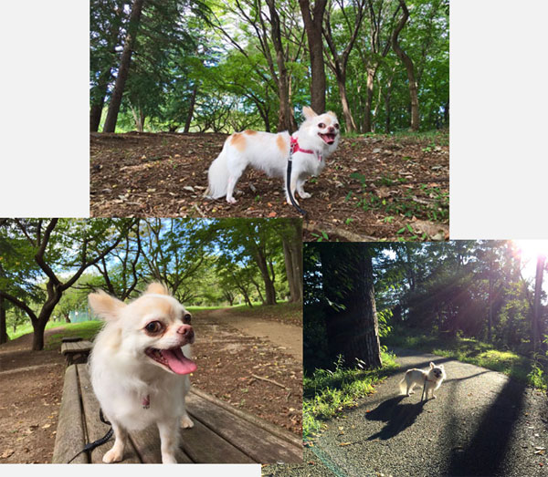 2015.9.21-11.jpg