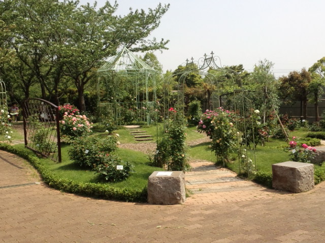 バラ園