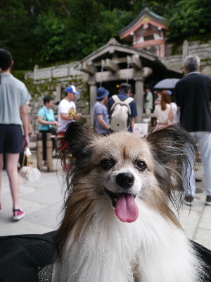 2012京都夏18.JPG