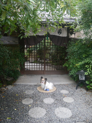 2012京都夏2−7.JPG