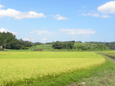 DSCN9226.jpg