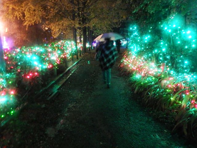 DSCF3416.JPG