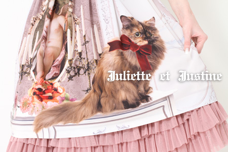 待望の猫柄ワンピ！！ | Juliette et Justineスタッフブログ - 楽天ブログ