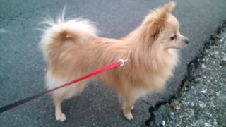 2012-03-01 18:31:22