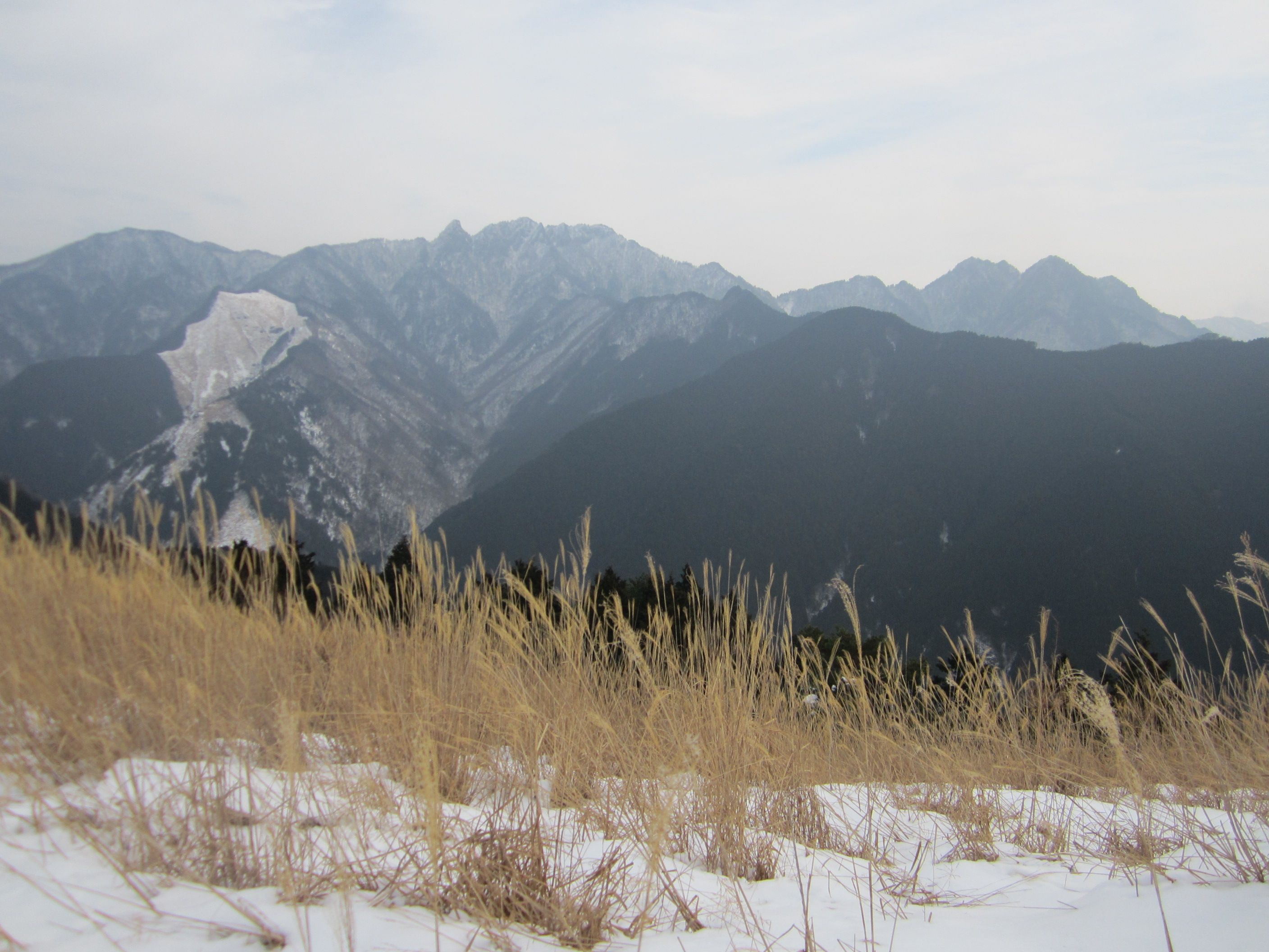 2017年1月29日 大峰山系・観音峰山（1348m） | 和歌♡山オバチャンの日記 - 楽天ブログ