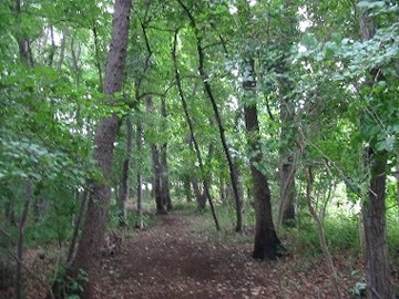 x山1.JPG