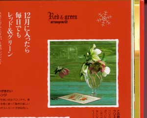 christmasrose.jpg