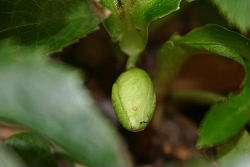 IMG_1629.jpg