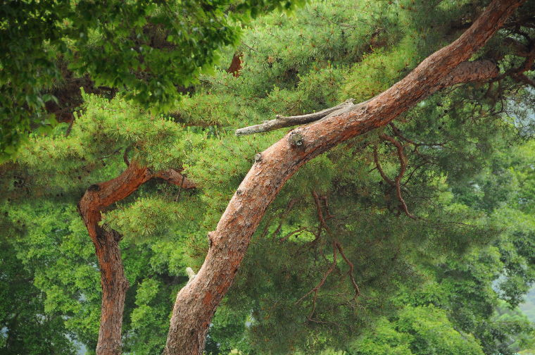 pict0052.jpg