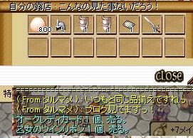 266.jpg