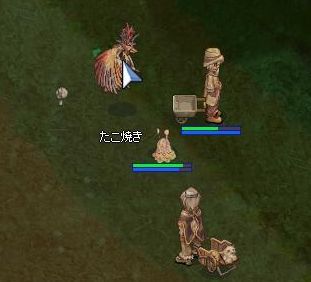 19.jpg