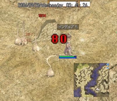 64.jpg