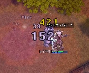 241.jpg