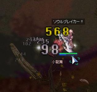 242.jpg