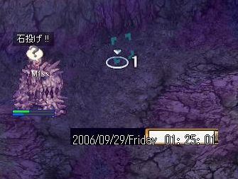 29.jpg