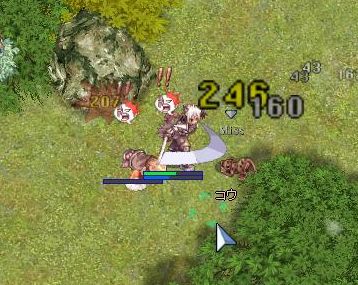 261.jpg