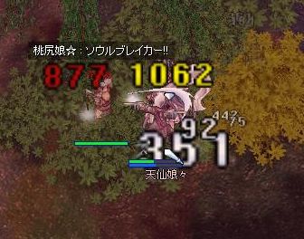 265.jpg