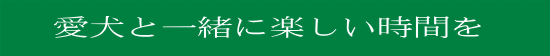 imga7259338zik4zj.gif