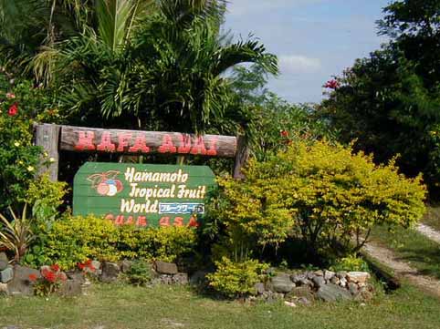 ﾊﾏﾓﾄﾌﾙｰﾂﾊﾟｰﾑ