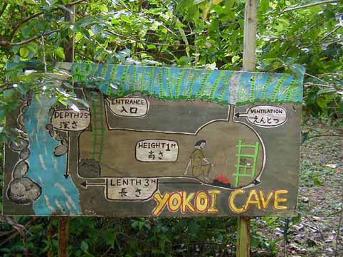 横井ｹｰﾌﾟ模型