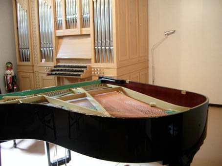 Orgel und Fluegel