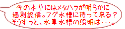 rank02_1.png