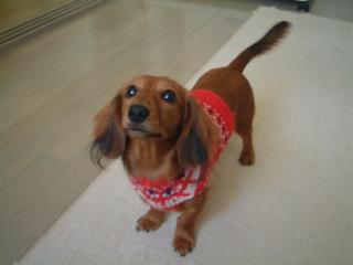 ラッキーモール