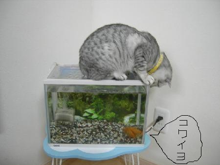 画像 149.jpg