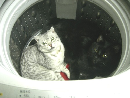 画像 155.jpg