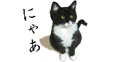 じじくろのねこ