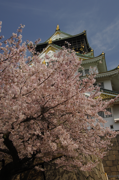 大阪城1.png