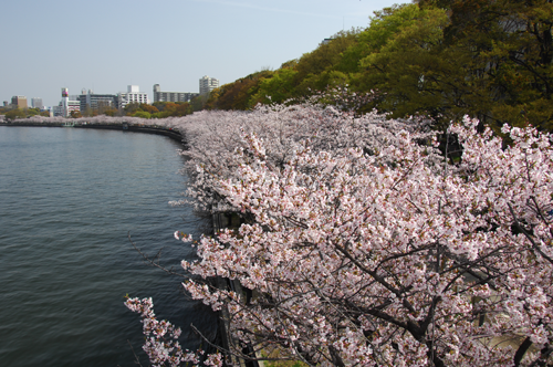 天満橋.png